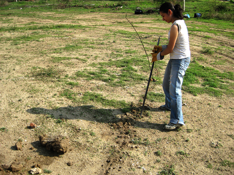 San Jerónimo Yahuiche, Oaxaca