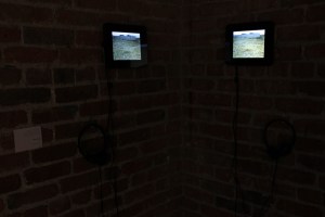 Artwork by Eliana Otta