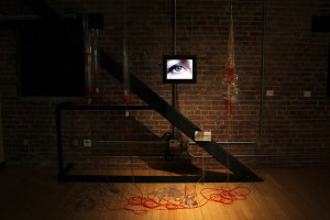 Artwork by Vera Costa